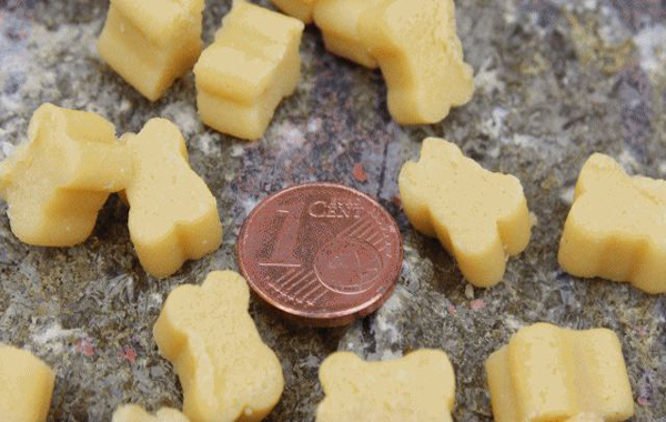 Hundeknochen mit Käse – PANYS Miniknochen + Käse neben einer 1-Cent-Münze