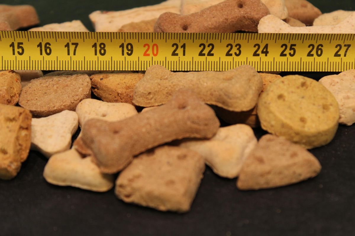 Hundekekse kaufen – PANYS Knuspertüte, Knochen und bunte Formen neben dem Massband