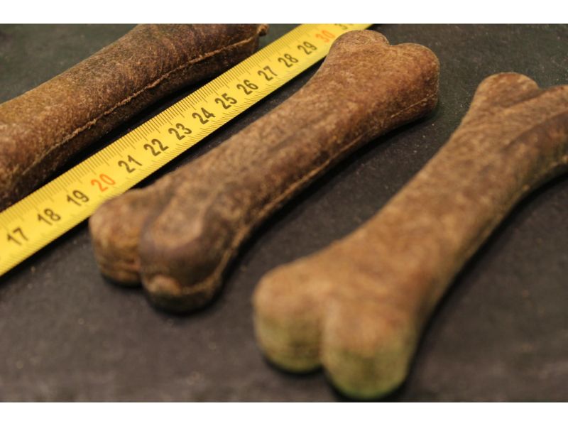 Kauknochen Hirsch für kleine Hunde – PANYS Kleine Hirschknochen neben dem Massband